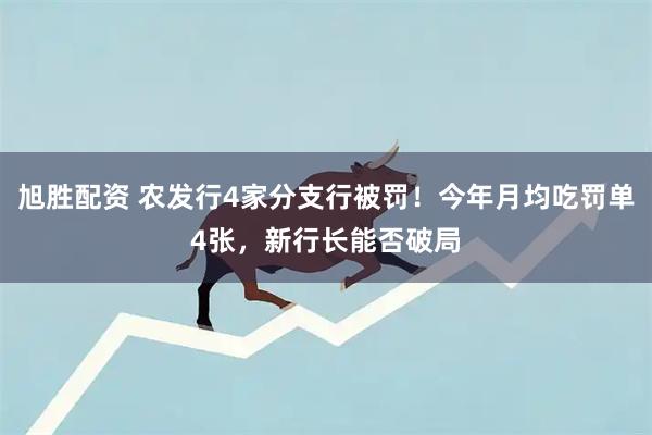 旭胜配资 农发行4家分支行被罚！今年月均吃罚单4张，新行长能否破局