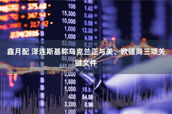 鑫月配 泽连斯基称乌克兰正与美、欧磋商三项关键文件