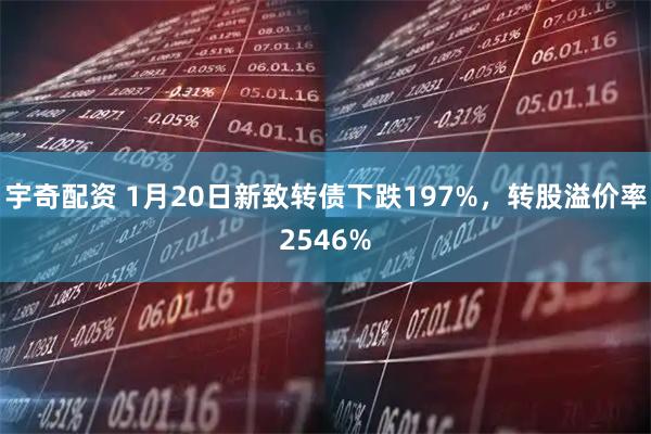 宇奇配资 1月20日新致转债下跌197%，转股溢价率2546%