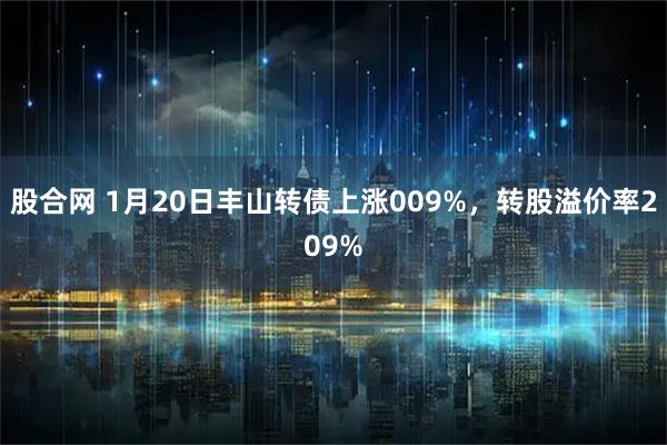 股合网 1月20日丰山转债上涨009%，转股溢价率209%