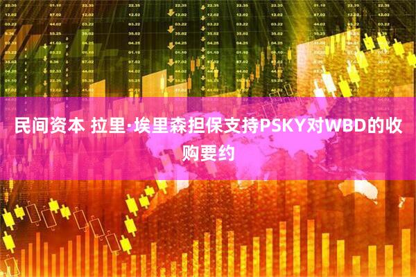 民间资本 拉里·埃里森担保支持PSKY对WBD的收购要约