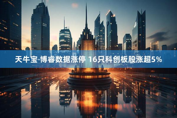 天牛宝 博睿数据涨停 16只科创板股涨超5%
